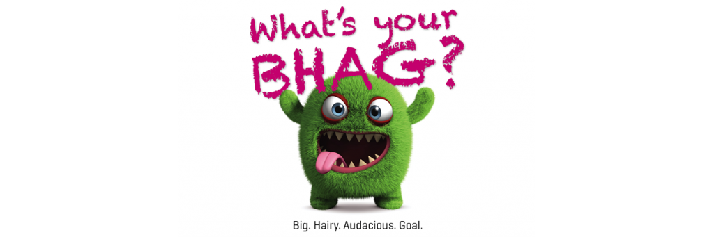BHAG: hairy and audacious! 